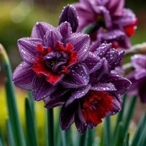 Нарцисс Минт Флер купить по цене от 2000р. в интернет-магазине «Посадика» с доставкой почтой в в Зеленоградске и по всей России – [изображение №1].