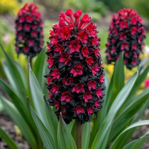 Гиацинт Джем Стоун купить по цене от 2099р. в интернет-магазине «Посадика» с доставкой почтой в в Зеленоградске и по всей России – [изображение №1].