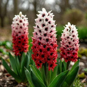 Гиацинт Скай Гарден купить по цене от 2099р. в интернет-магазине «Посадика» с доставкой почтой в в Зеленоградске и по всей России – [изображение №1].